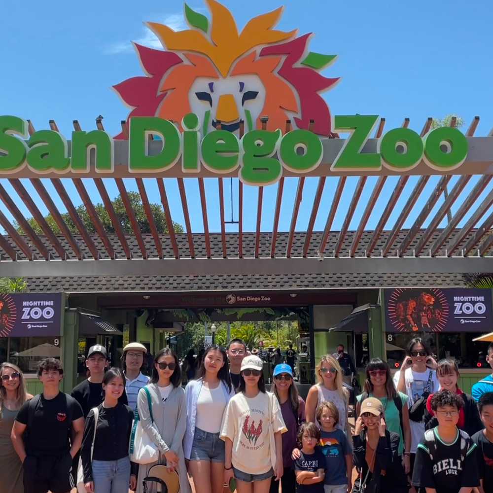 microsoftteams image 19