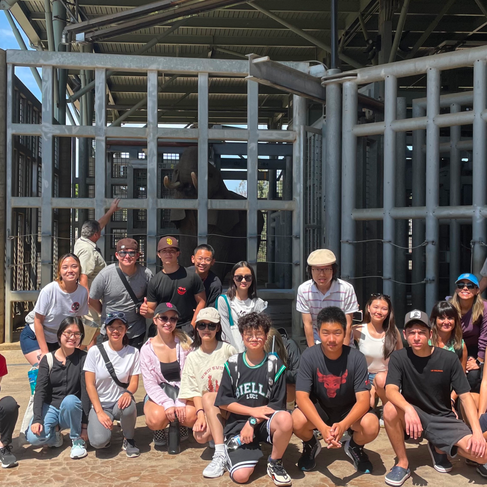 microsoftteams image 20